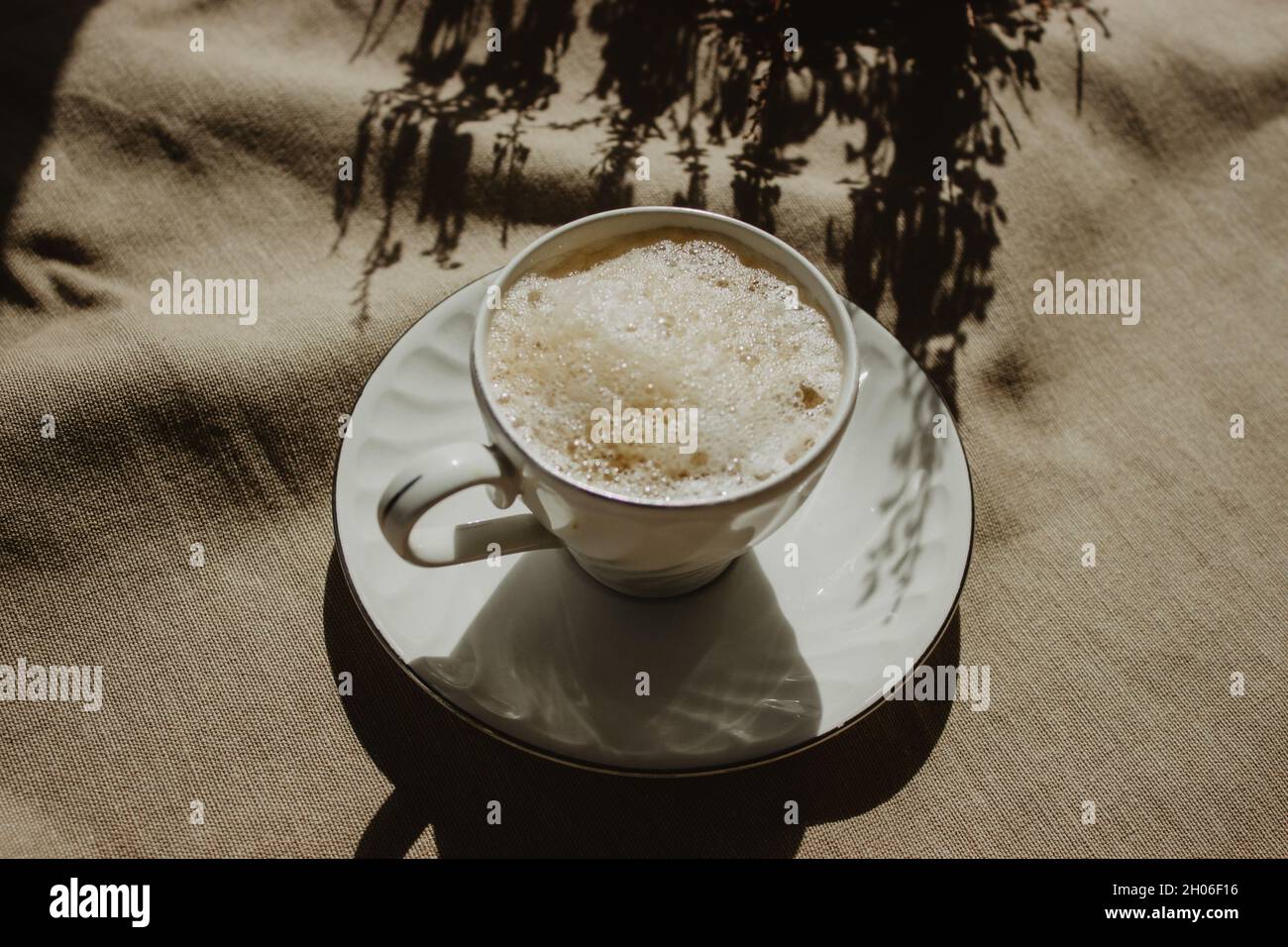 Moderne Kaffeetasse mit Milch und Schaum auf beigem Hintergrund isoliert mit einem Pflanzenschatten. Stillleben-Kaffeefotografie. Stockfoto