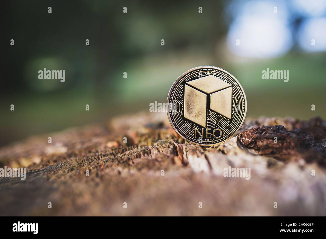 Neo Krypto-Münze steht auf Holz im Freien Nahaufnahme, Kopierraum. Eine Goldmünze für Kryptowährung und Platz für Text. Grün natürlich verschwommen Wald Hintergrund. Stockfoto