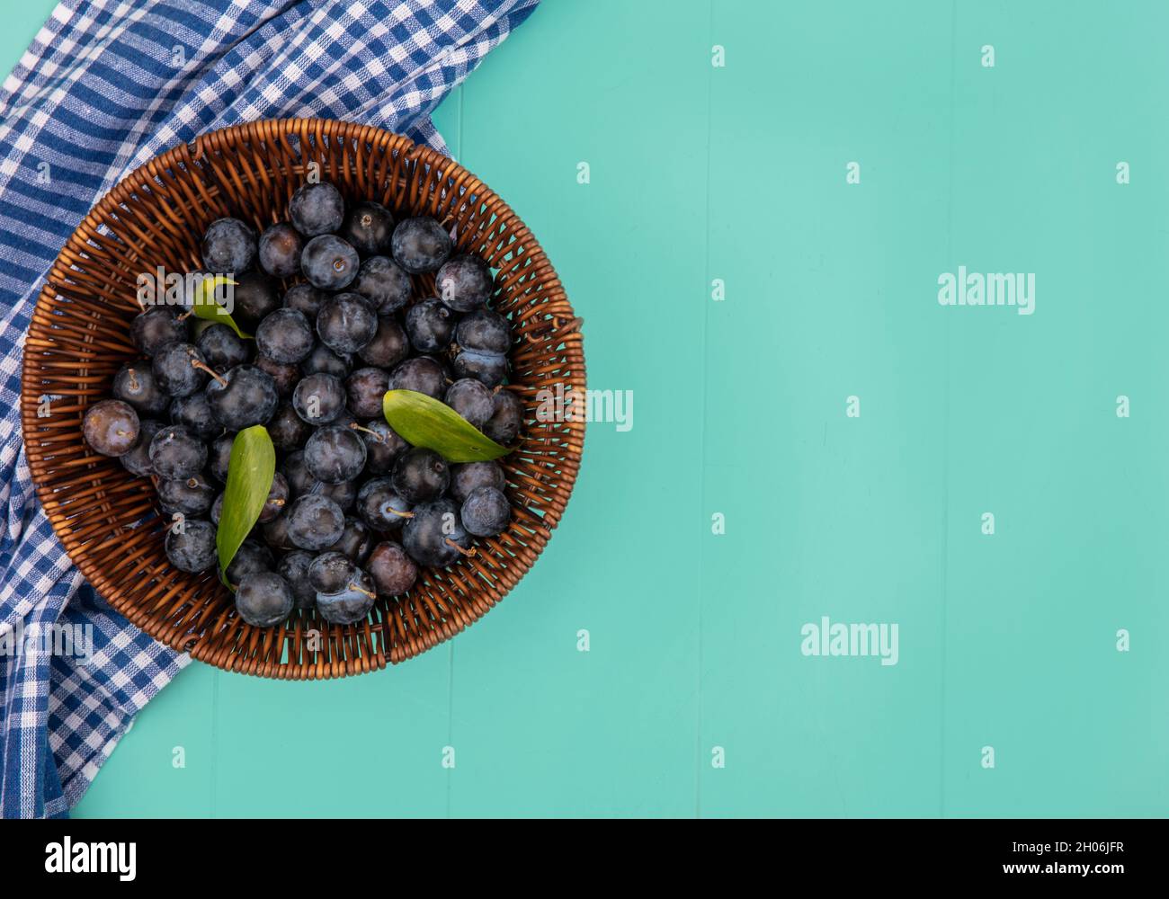 Draufsicht auf eine kleine saure Frucht mit dunkler Haut Schlehen auf blauem Hintergrund mit Kopierraum Stockfoto