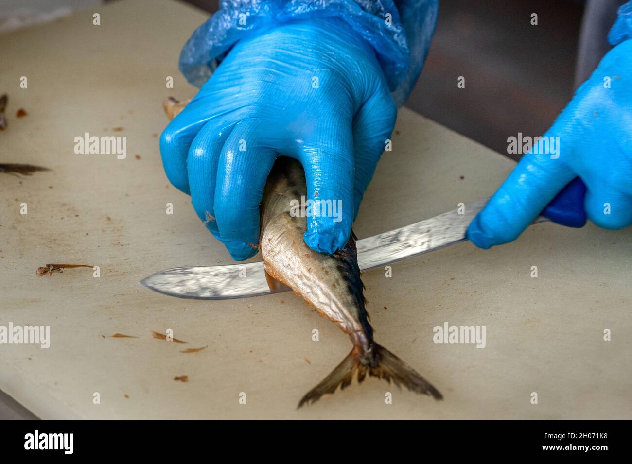 Ein Arbeiter schneidet geräucherte Makrelen mit einem Messer in Stücke. Stockfoto