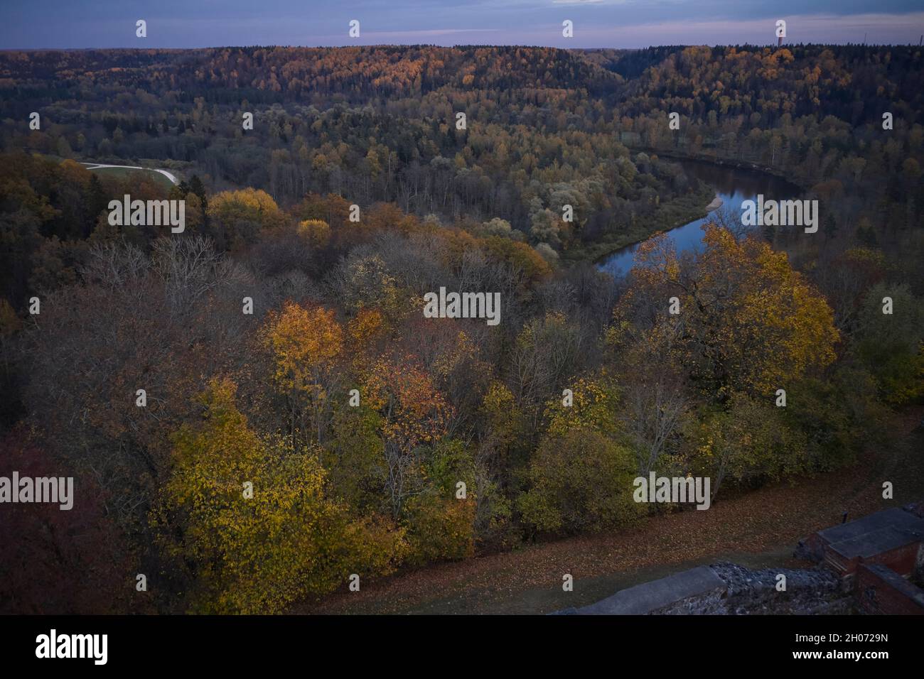 Atemberaubende Luftaufnahme der Straße mit Kurven durch dichten Wald in Herbstfarben Stockfoto