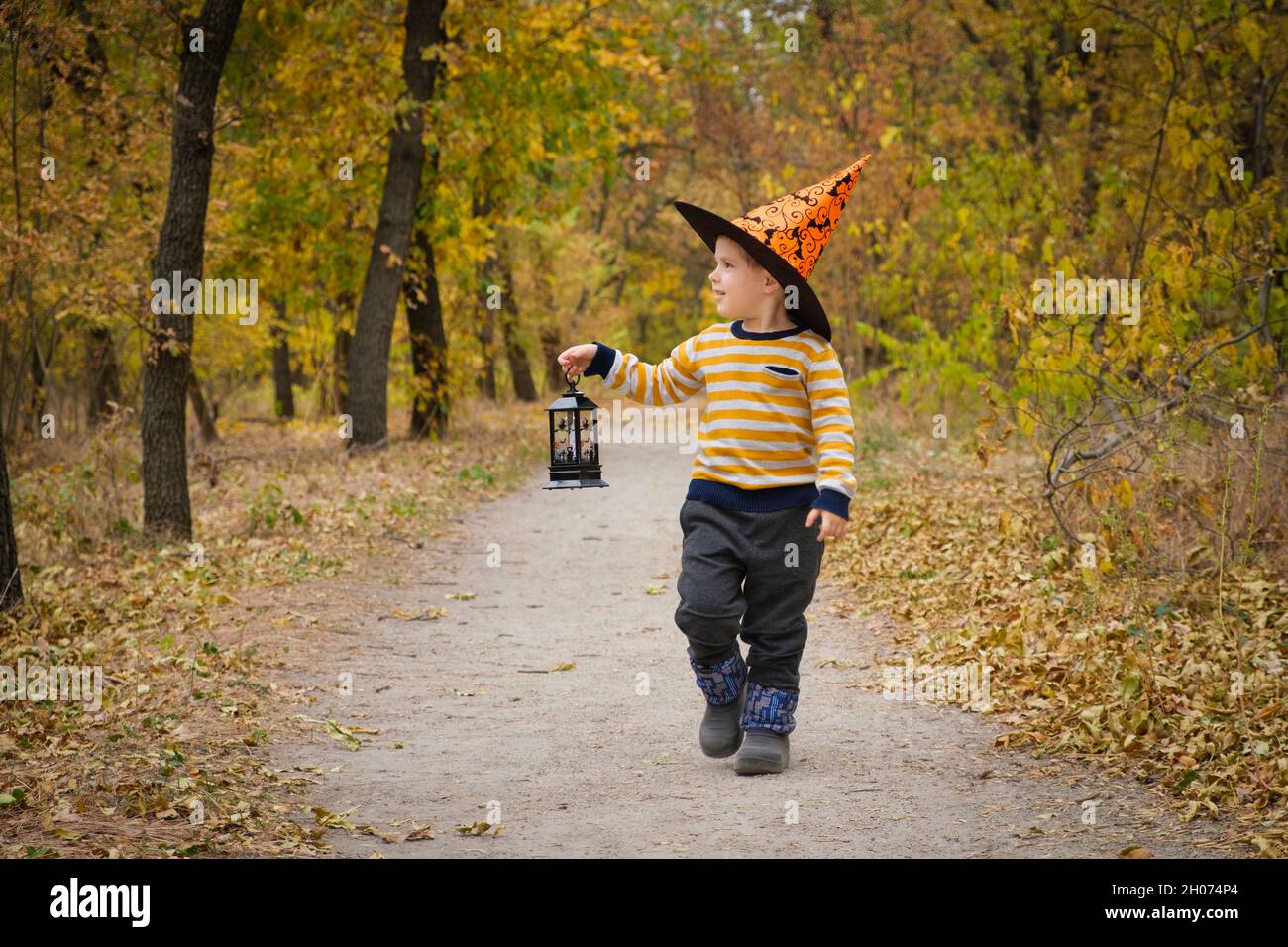 Ein Vorschuljunge spaziert mit einer Laterne im Halloween Herbstwald Stockfoto