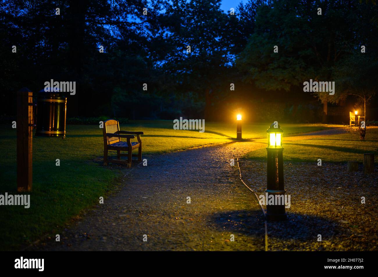Ein Park bei Nacht. Ein steiniger Pfad führt über einen Rasen und wird von elektrischen Lichtern beleuchtet. Die Lampen werfen ein gelbes Licht und lange Schatten. Stockfoto