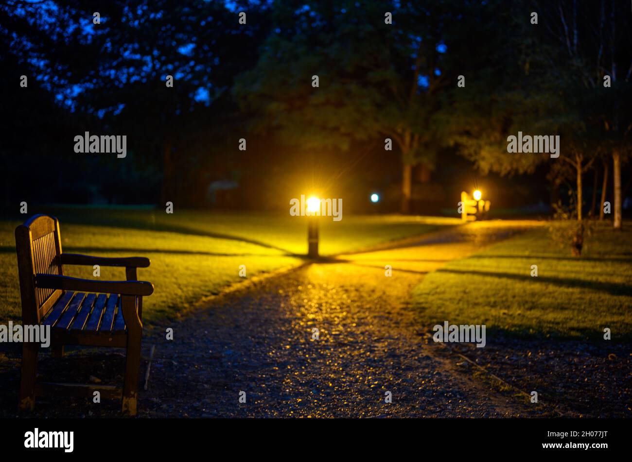 Ein Park bei Nacht. Ein steiniger Pfad führt über einen Rasen und wird von elektrischen Lichtern beleuchtet. Die Lampen werfen ein gelbes Licht und lange Schatten. Stockfoto
