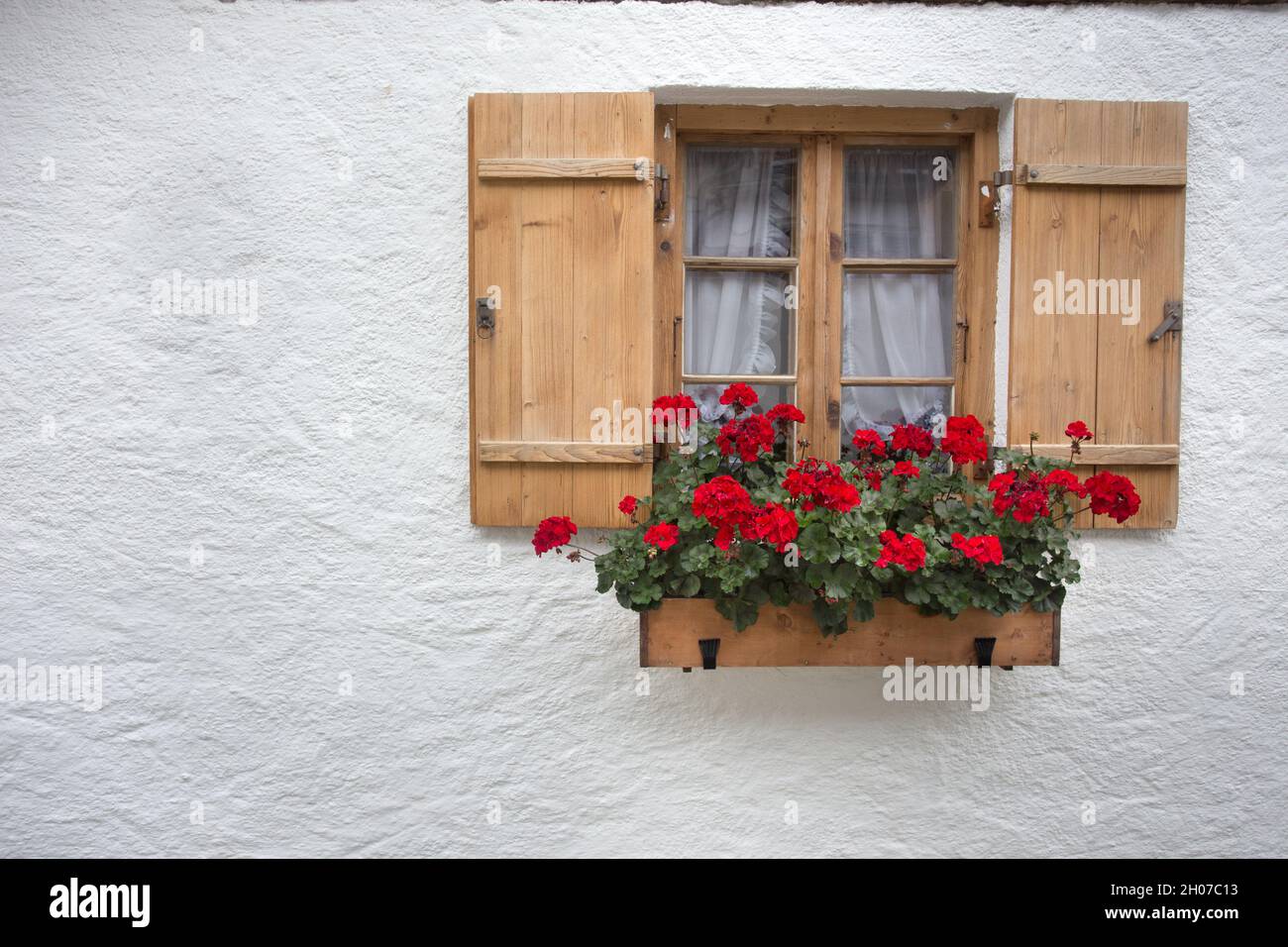 Schönes kleines Holzfenster mit Fensterläden und Blumentopf mit roten  Geranien an alten weißen Wänden Stockfotografie - Alamy