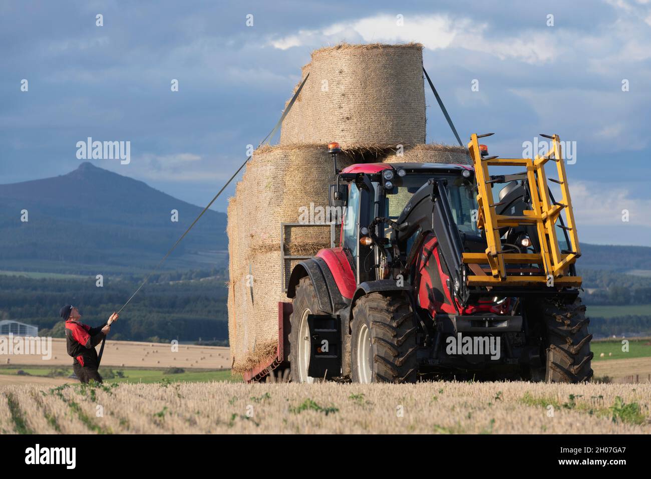 Ein Landwirt sichert sich eine Ladung Strohballen auf einem Trailer auf einem Feld in Aberdeenshire mit Bennachie im Hintergrund Stockfoto
