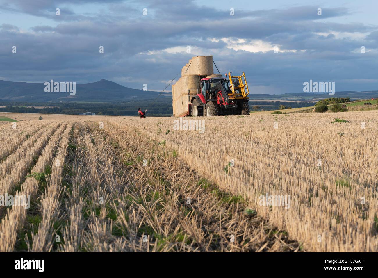 Ein Blick über ein Stoppelfeld in Aberdeenshire in Richtung Bennachie, mit einem Farmer, der eine Ladung Strohballen auf einem Anhänger einreibe Stockfoto