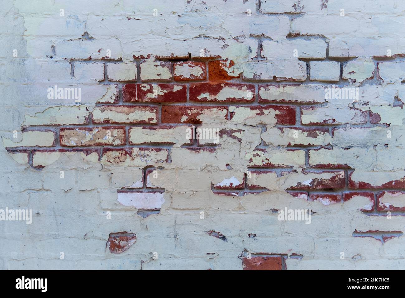 Rote Steine zeigen sich durch alte weiße Farbe Stockfoto