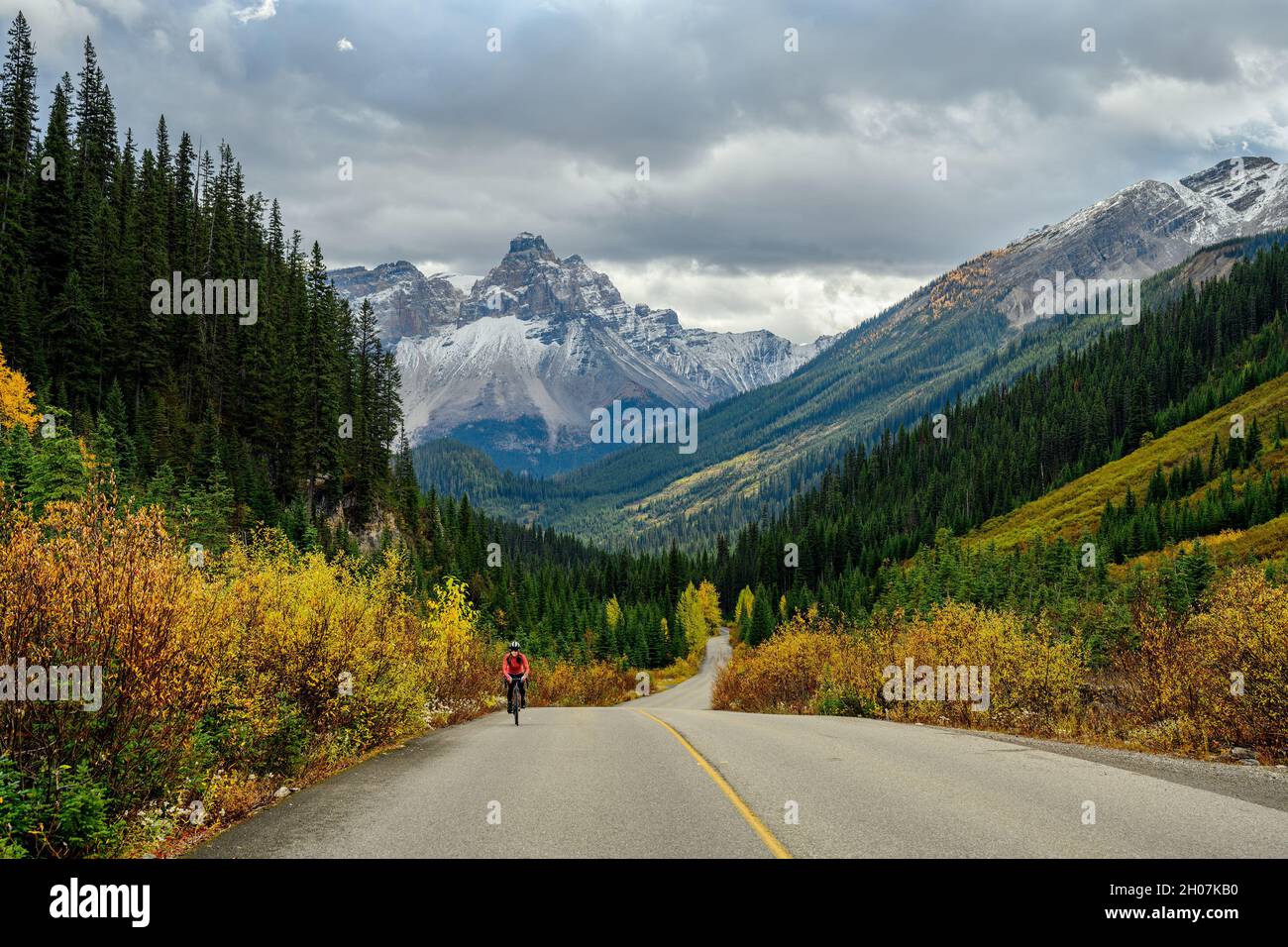 Die Radfahrerin fährt mit ihrem Sportfahrrad bergauf auf auf einer wunderschönen Bergstraße, die in Herbstfarben mit dem Cathedral Mountain im Hintergrund gut aussieht Stockfoto