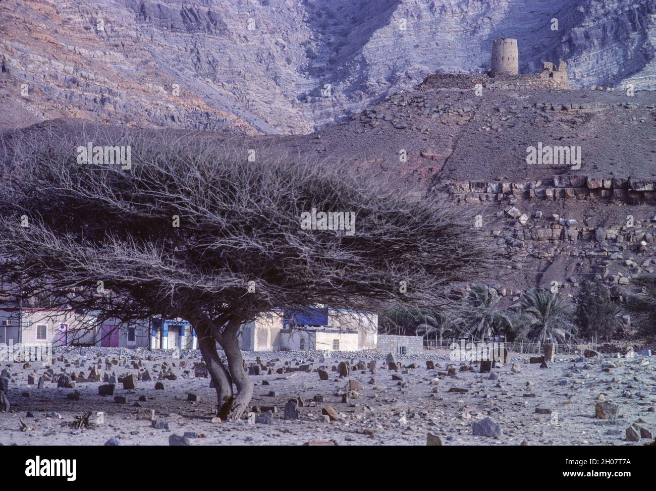 Bukha, Oman.  Al-Qala Fort, mit Blick auf die Stadt von Bukha.  1985, vor der Restaurierung. Stockfoto