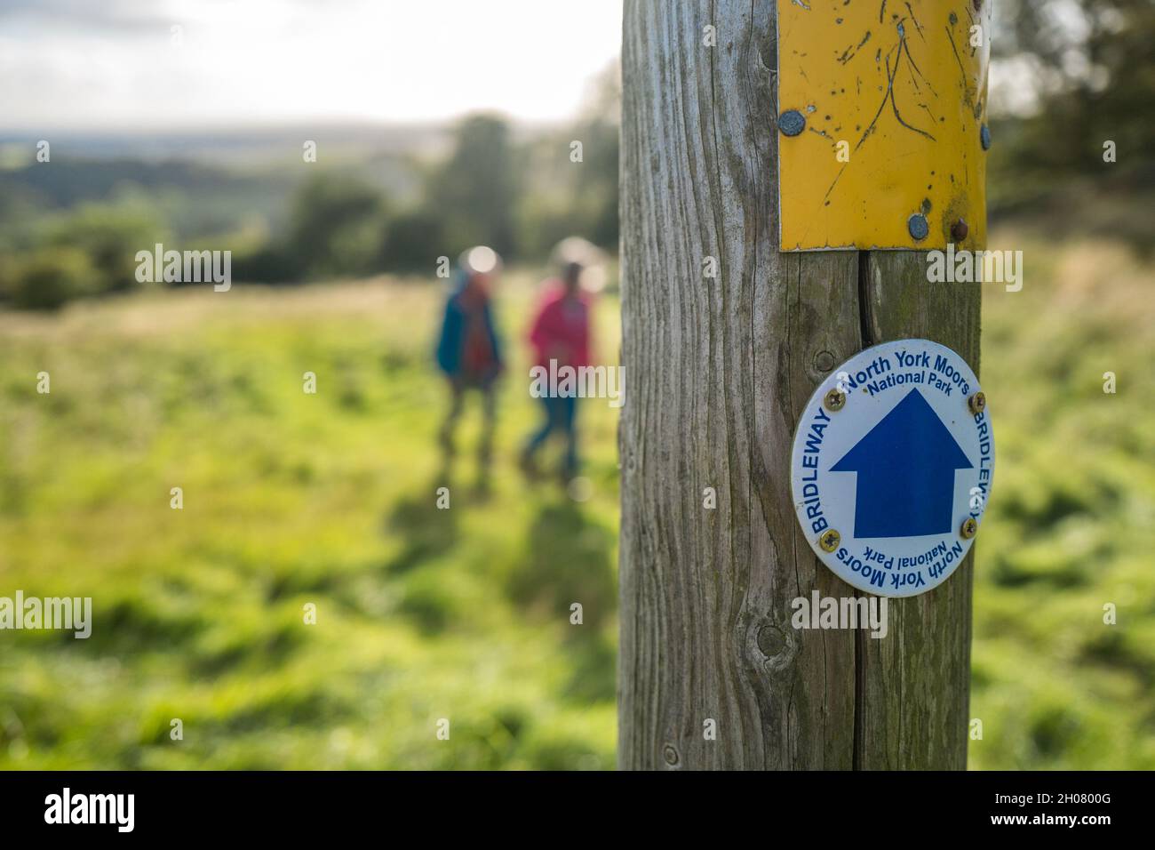 Spaziergänger, die auf dem North York Moors-Brückenweg über Gormire Lake, Yorkshire, England, Großbritannien, wandern Stockfoto