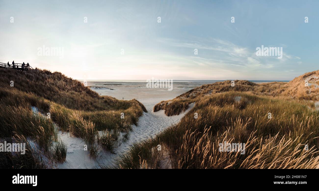 Panoramablick auf die Sanddünen der Küste und das offene Meer. Sonniger Sommertag vor Sonnenuntergang. Konzept für Sommerferien. Stockfoto