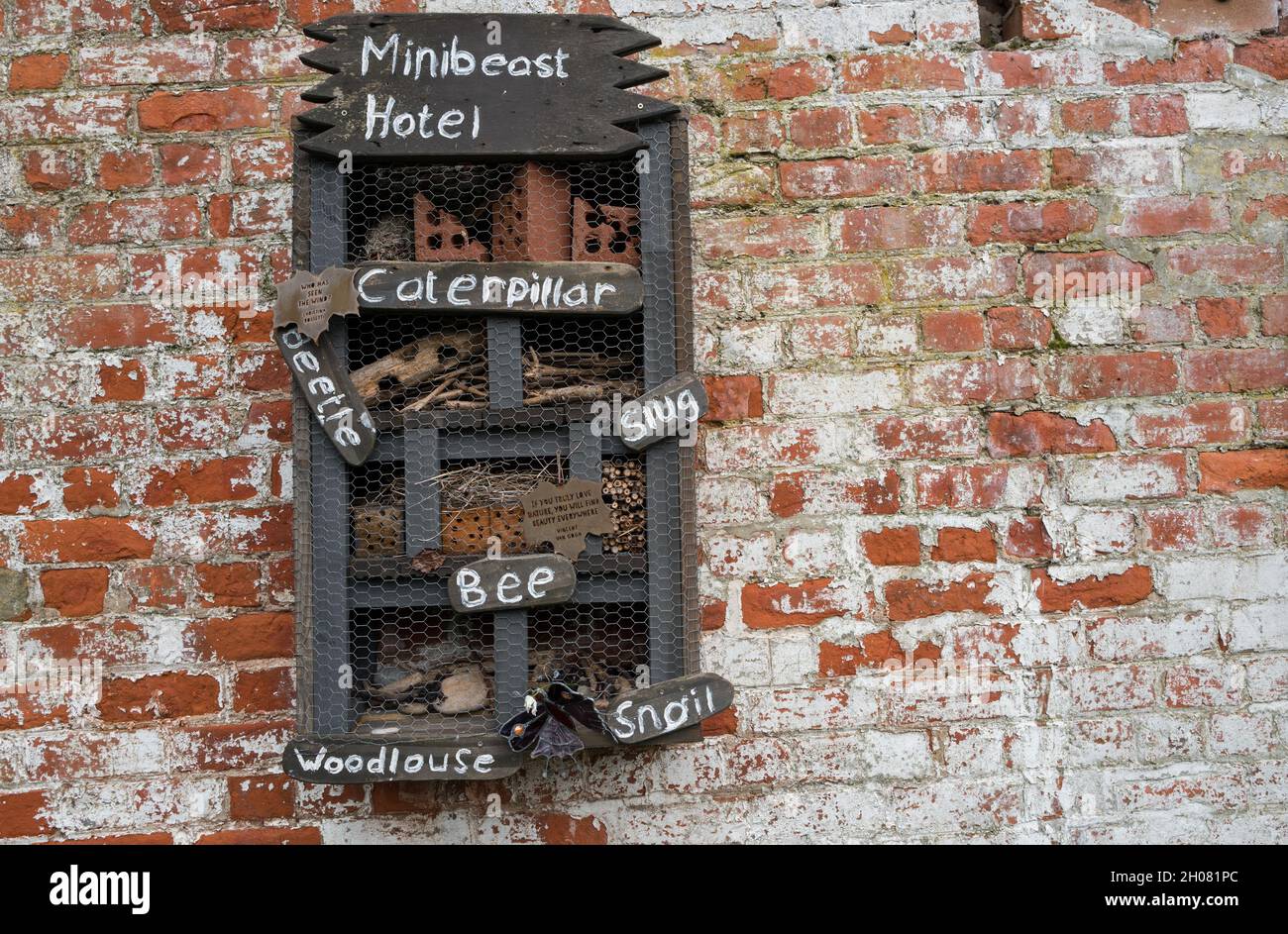 Das Minibeast Hotel aus Holz bietet ein Zuhause und Schutz für Käfer, Käfer und Bienen. Stockfoto