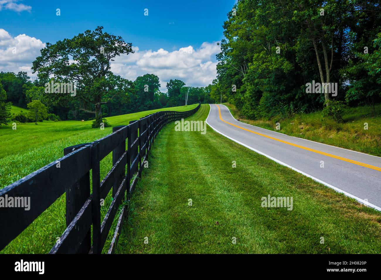 Kentucky Bluegrass Horse Country - Old Frankfort Hike Stockfoto