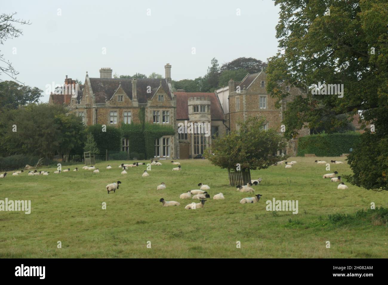 Fawsley Hall, Heimstadion der Knightley Family Northamptonshire UK Sheep Field Sitzgelegenheit Steinhaus Residenz im alten Stil Washingtons Stockfoto