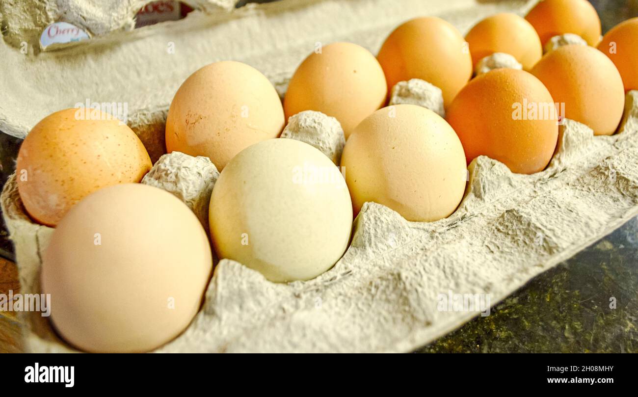 Nahaufnahme von Karton mit frischen Eiern in den Farben Weiß, Braun und Bräune Stockfoto