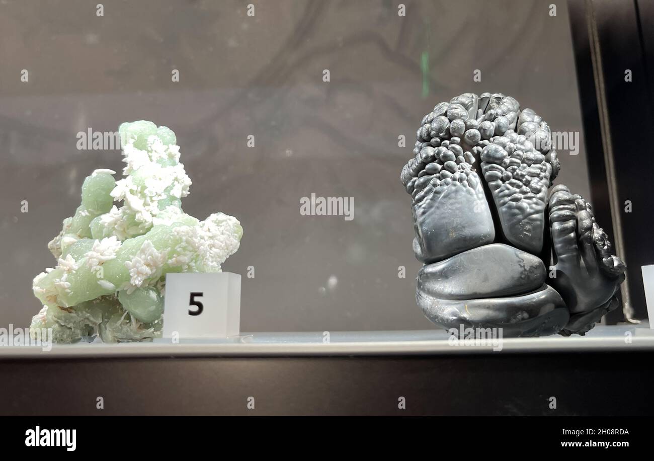 Edelsteine, Mineralien und frühere Steine werden in einer Vitrine im Museum ausgestellt. Stockfoto