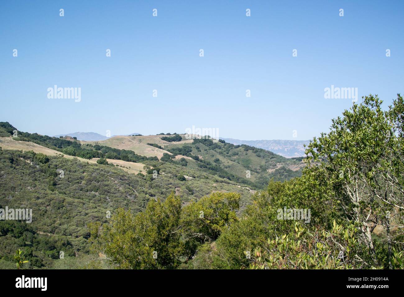 Blick auf die baumbedeckten Berge im Rancho Canada del Oro Open Space Preserve, Kalifornien. Stockfoto