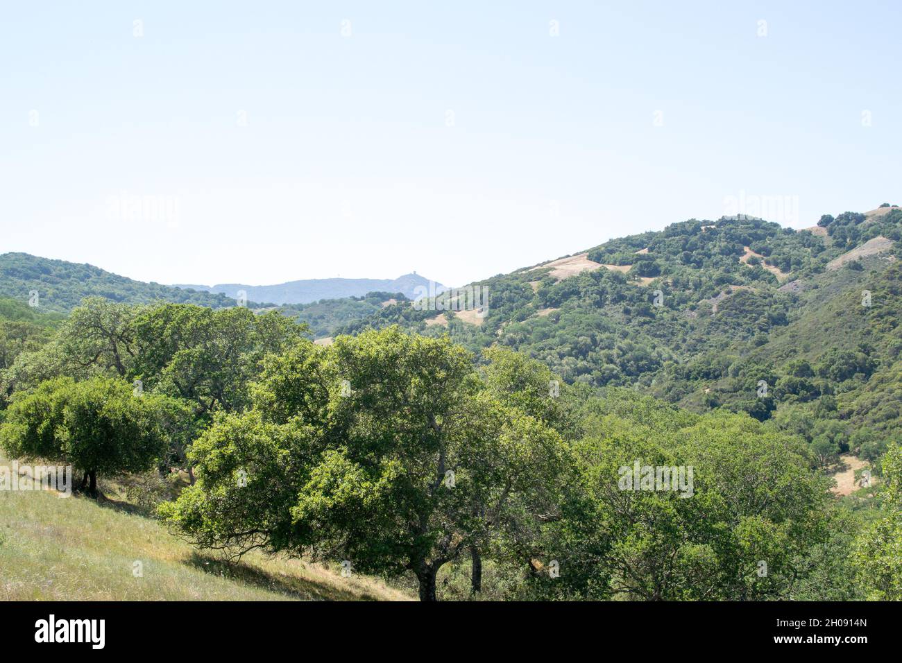 Blick auf die baumbedeckten Berge im Rancho Canada del Oro Open Space Preserve, Kalifornien. Stockfoto