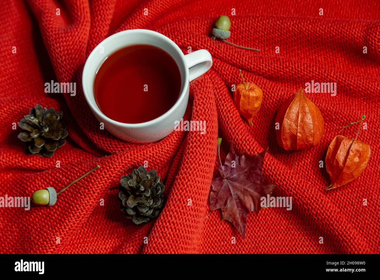 Tasse Tee auf einem warmen roten Pullover, umgeben von Physalis, Tannenzapfen, Ahornblättern und Eicheln. Bunte Herbst Draufsicht Mock up. Stockfoto