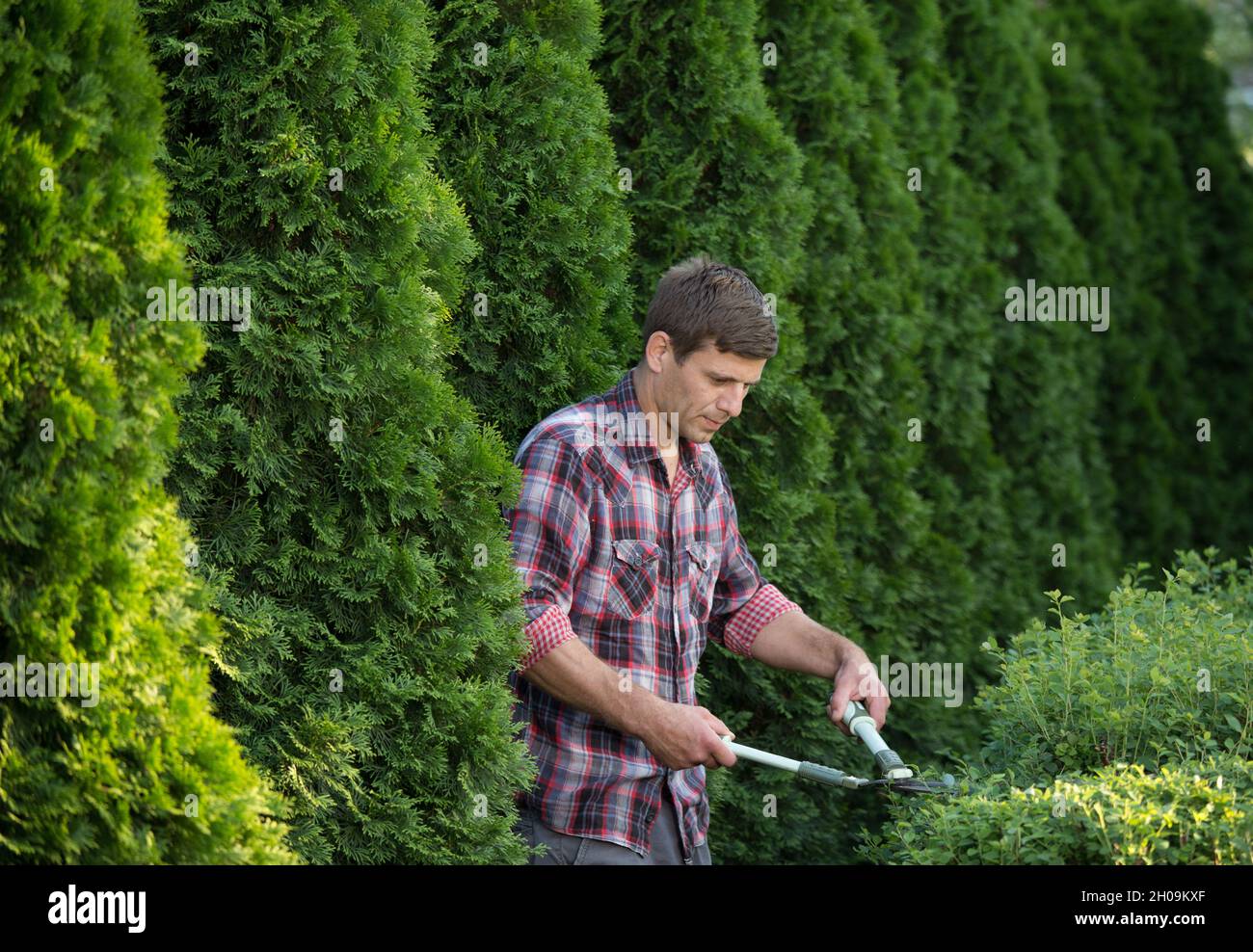 Hübscher junger Mann, der Büsche mit einer Schere im Garten trimmt Stockfoto