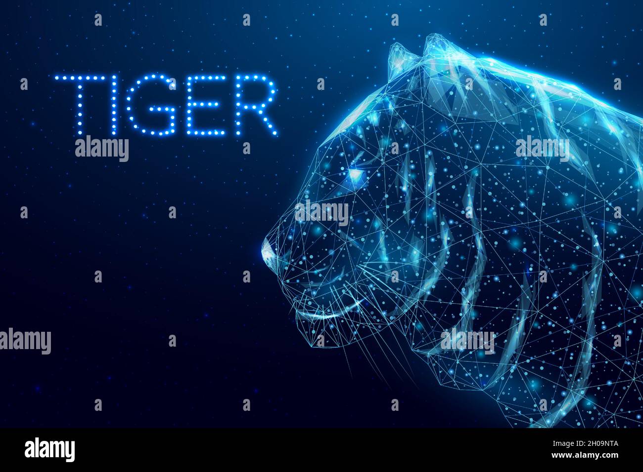 Drahtmodell polygonaler Tiger. Konzept mit leuchtendem Low-Poly-Head-Tiger. Futuristischer, moderner abstrakter Hintergrund. Vektorgrafik. Stock Vektor