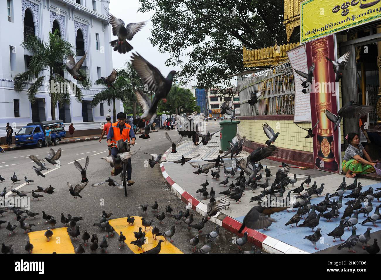 27.07.2013, Myanmar, , Yangon - Ein Radfahrer fährt durch eine Taubenschar vor der Sule-Pagode im Zentrum der Wirtschaftsmetrophone des Landes Stockfoto