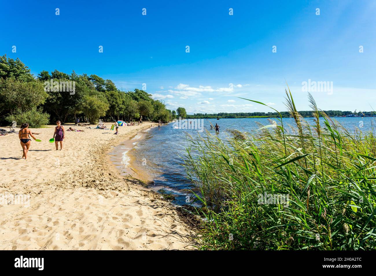 Parentis en Born (Südwestfrankreich): Strand des Pond von Biscarrosse und Parentis Stockfoto