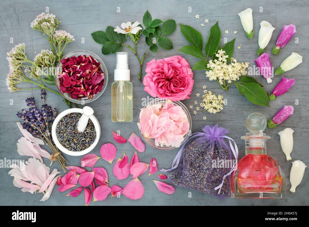 Heilende Kräuter und Blumen für natürliche pflanzliche Heilmittel und ätherische Öl Vorbereitung. Gesundheits- und Wellness-Konzept. Stockfoto