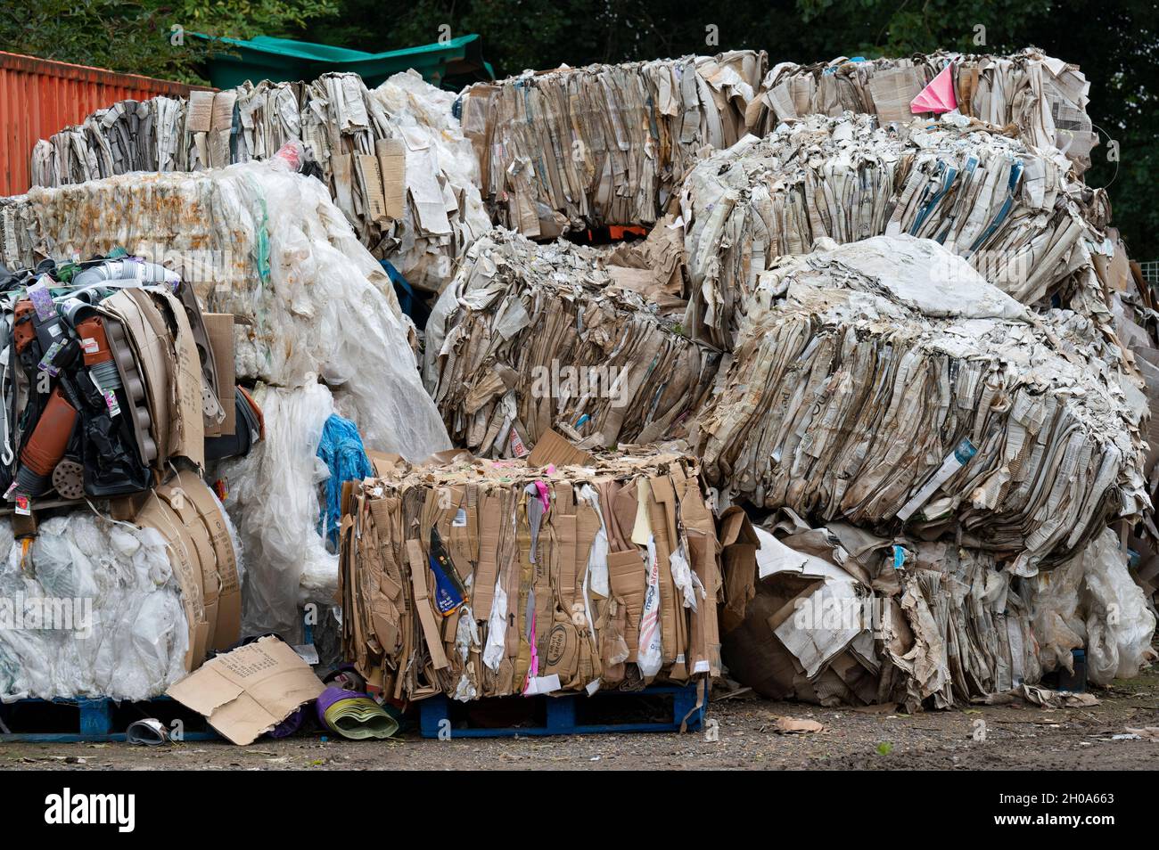 Papier- und Kartonabfall Stockfoto