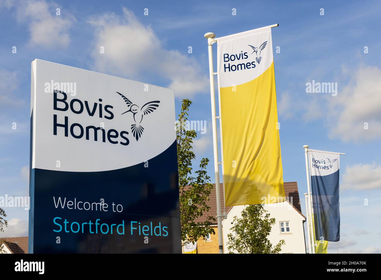 Bovis Homes Zeichen und Flaggen in der Stortford Fields Wohnsiedlung. Bishop's Stortford, hertfordshire. VEREINIGTES KÖNIGREICH Stockfoto