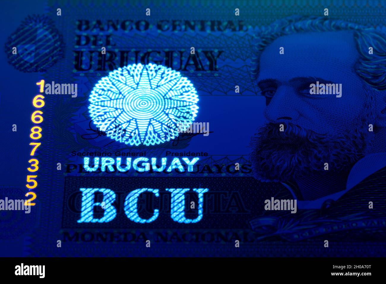 Uruguayischer Peso in UV-Strahlen Stockfoto