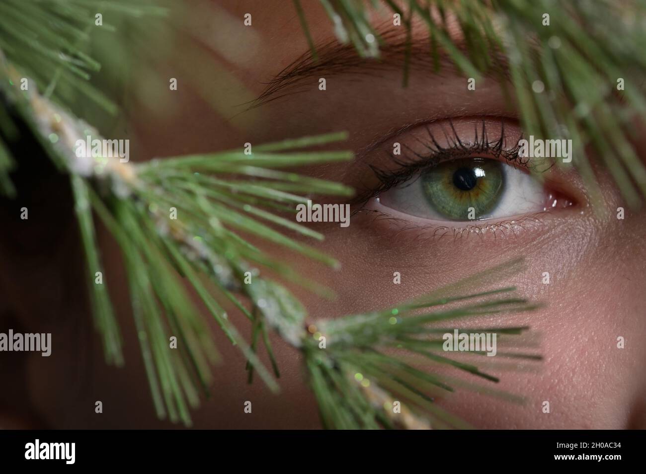 Nahaufnahme Junge Frau Mit Schatten Von Pine Tree Auf Ihrem Gesicht Stockfoto