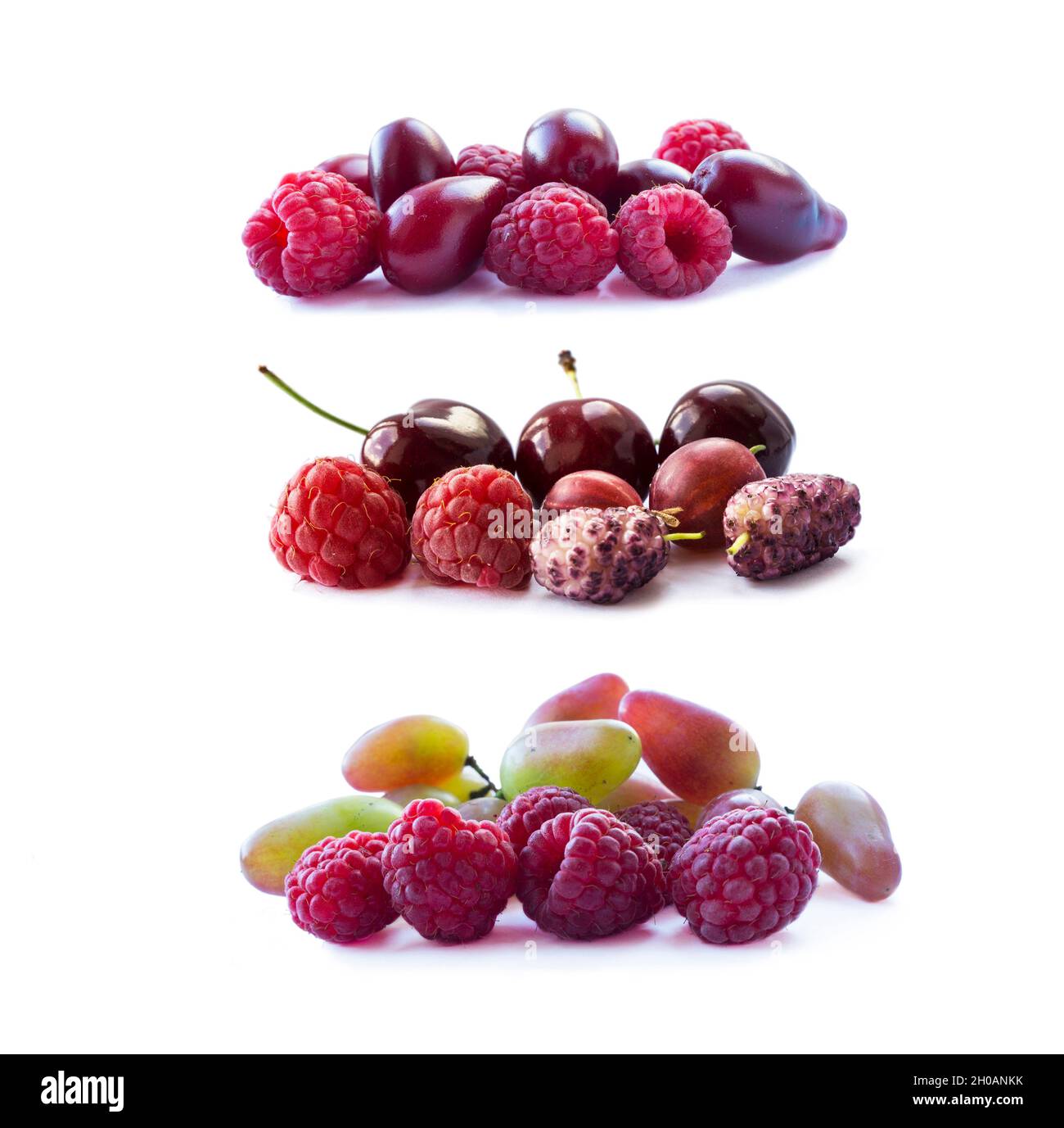 Rosa Beeren isoliert auf weißem Hintergrund. Reife Himbeeren, Kirschen, Maulbeeren, Stachelbeeren und Trauben. Hintergrund der Mischung Beeren mit Kopierer Platz Stockfoto