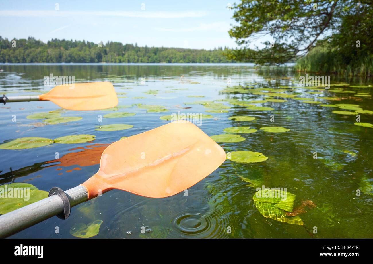 Kajak paddelt über das Wasser, Ökotourismus-Konzept, selektiver Fokus. Stockfoto
