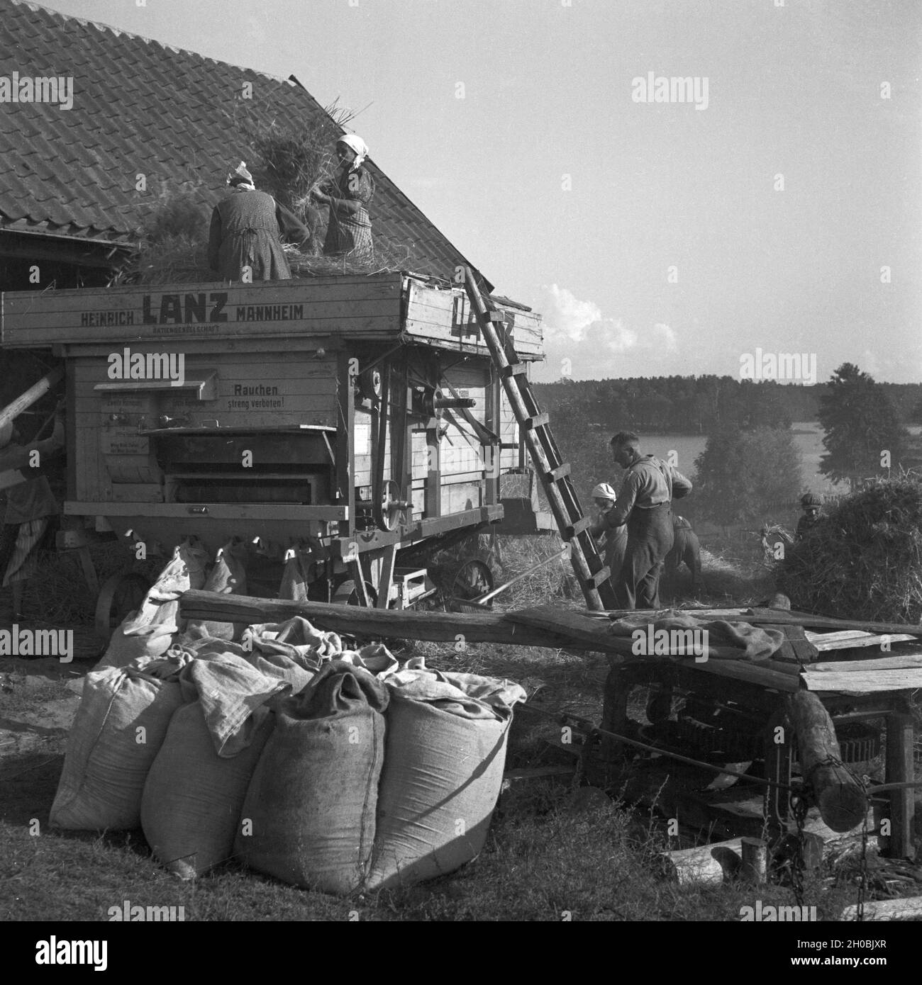 Bauern Bei der Heuernte in Ostpreußen, Deutschland, 1930er Jahre. Bauern machen das Heu Ernten in Ostpreußen, Deutschland der 1930er Jahre. Stockfoto
