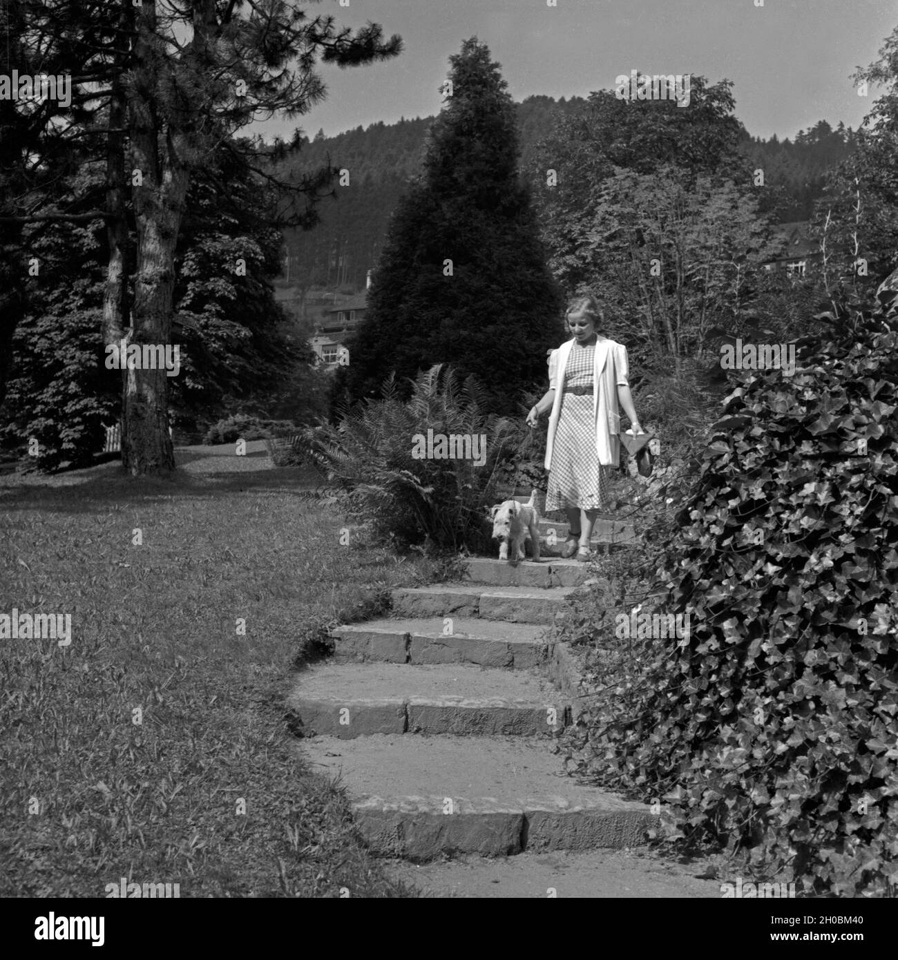 Eine Frau geht mit einem Foxterrier in einem Park in Wildbad im Schwarzwald spazieren, Deutschland 1930er Jahre. Eine Frau, die zu Fuß ihre Fox Terrier in einem öffentlichen Park in Wildbad im Schwarzwald, Deutschland der 1930er Jahre. Stockfoto