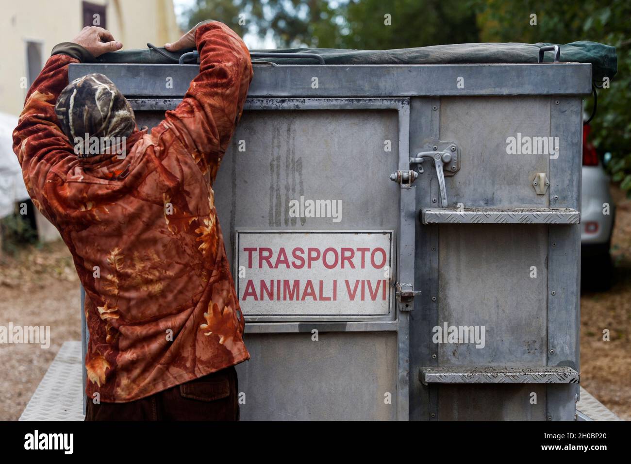 Ein Mann sichert sich einen Käfig mit einem Schild mit der Aufschrift „Lebendtiertransport“, nachdem ein Wildschwein in Rom, Italien, am 12. Oktober 2021 gefangen ist. REUTERS/Guglielmo Mangiapane Stockfoto