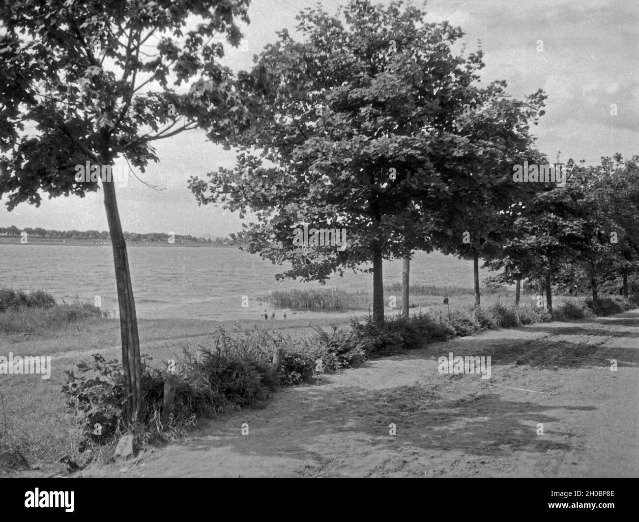 Der Weg vom Ostseebad Zoppot / Glettkau bei Danzig, 1930er Jahre. Straße von Ostseebad Zoppot zu Glettkau in der Nähe von Danzig, 1930er Jahre. Stockfoto