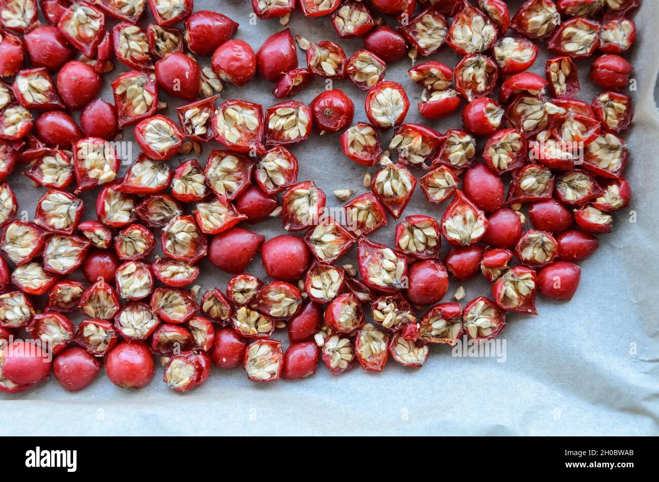 Getrocknete Hagebutten oder Hagebutten (auch Rose Haw und Rose Hep genannt) Früchte und Beeren auf einem Tablett für Tee oder Gelee, flache Sicht von oben Stockfoto