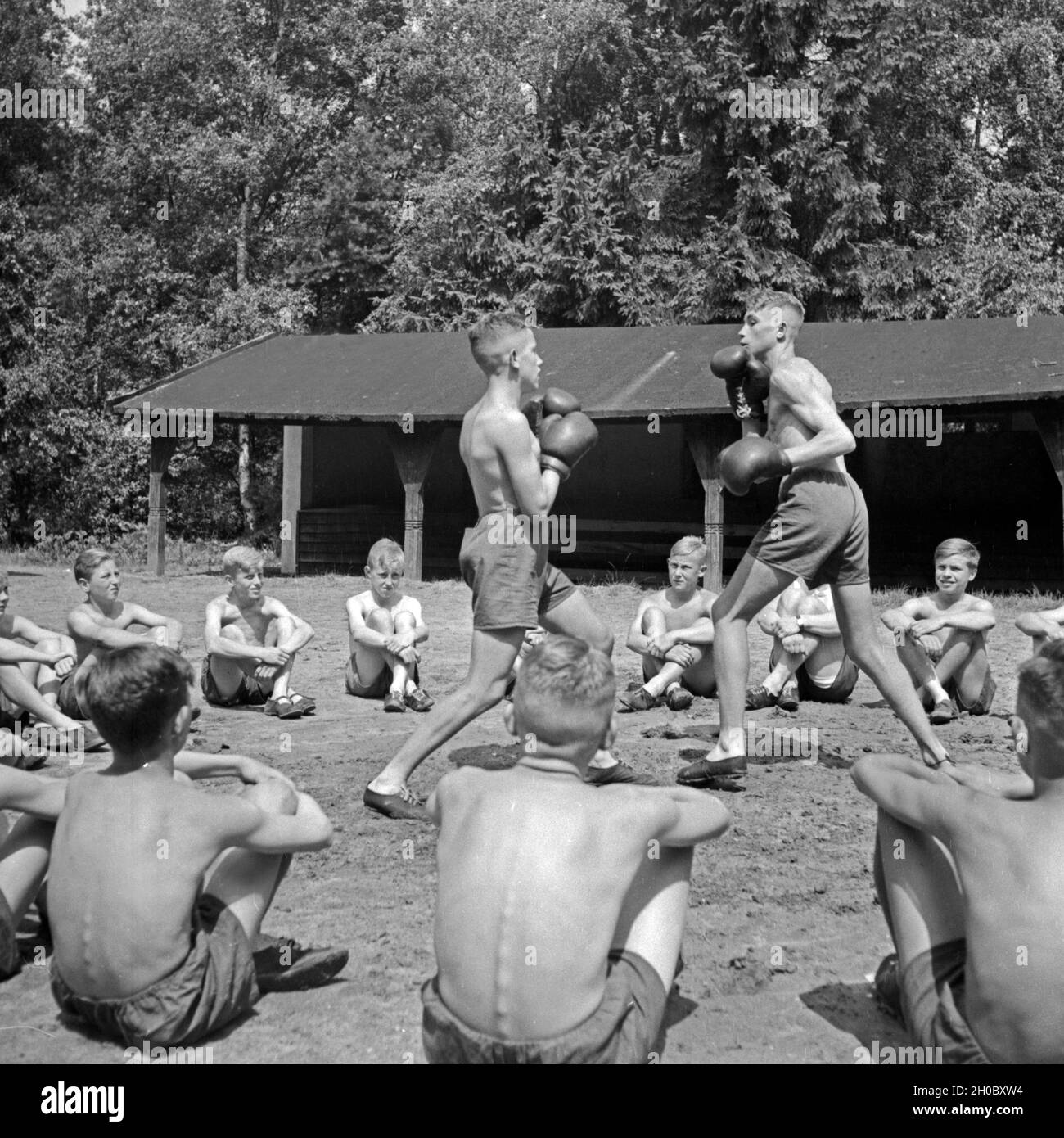 Jungen vom Landjahr Lager Sterben in Bevensen beim Boxsport, Deutschland 1930er Jahre. Die jungen der Hitlerjugend camp in Bevensen dabei einige Sparring, Deutschland 1930. Stockfoto