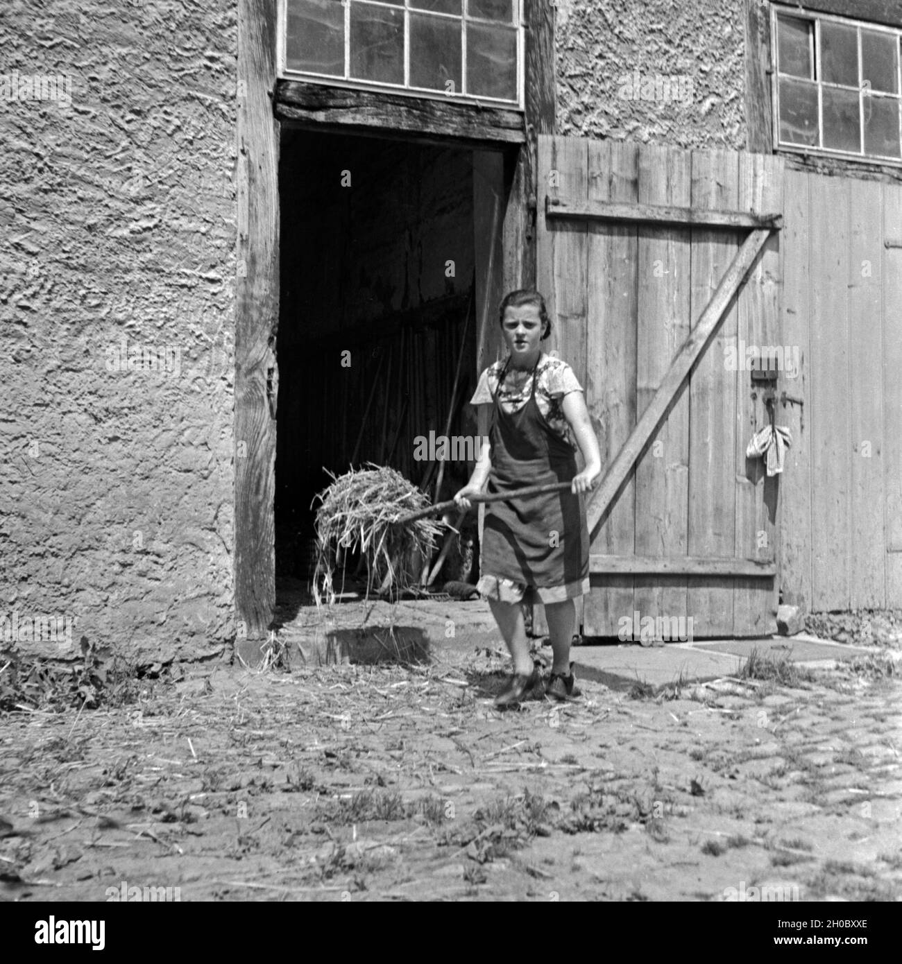 Ein BdM Mädel als Landhelfer bei Bauern in der Gegend von Polle an der Weser, hier beim Ausmisten des Schweinestalls, Deutschland 1930er Jahre. Ein BdM-Mädchen als Unterstützung für die lokalen Bauern in der Nähe von Polle ist hier, mucking das Schwein stabil, Deutschland 1930. Stockfoto