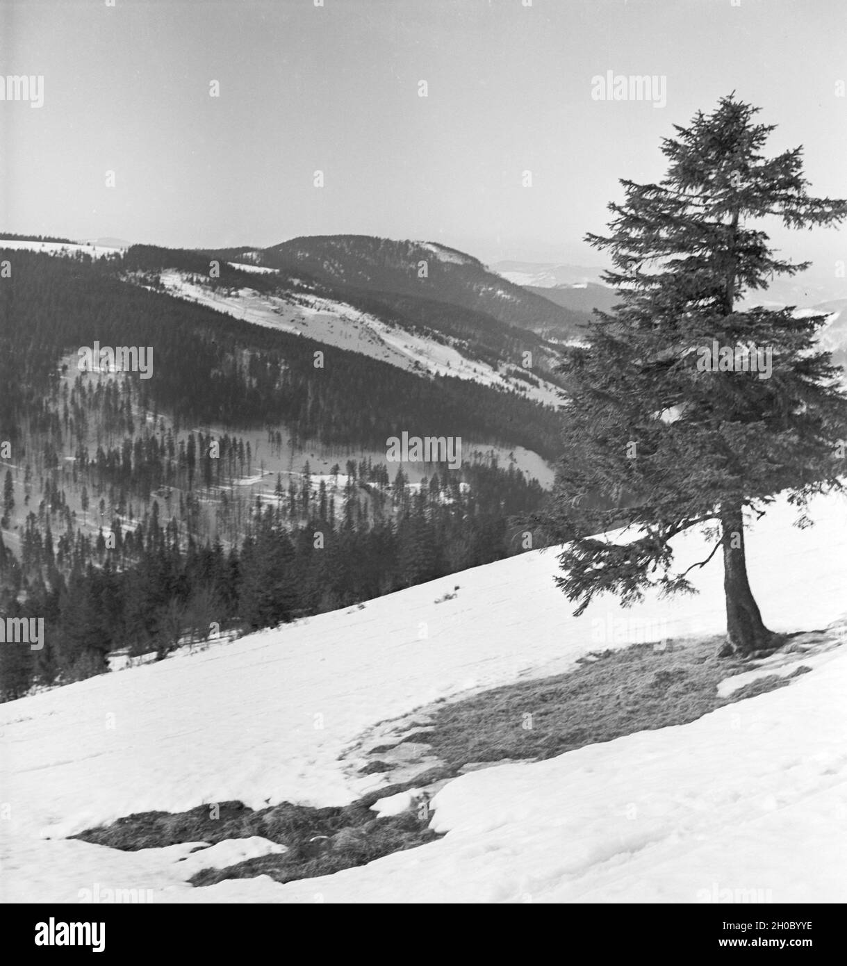 Skigebiet bin Feldberg Im Schwarzwald, 1930er Jahre Deutsches Reich ...