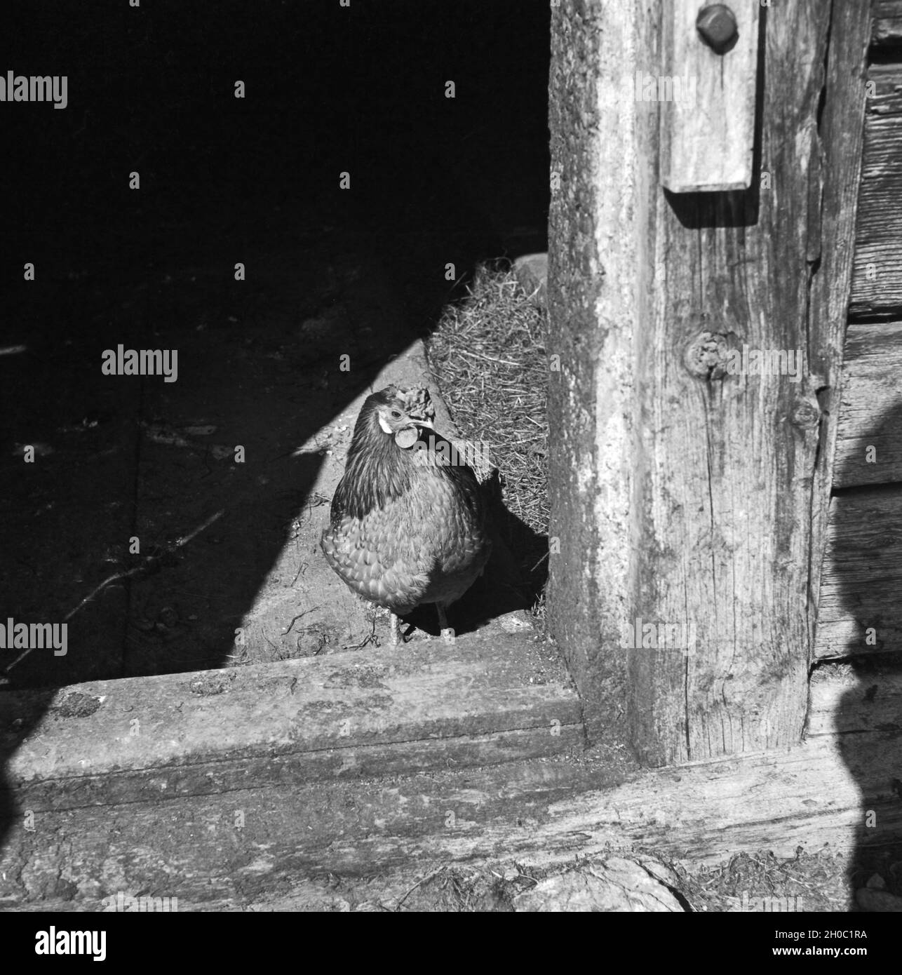 Ein Ausflug Nach Mittelberg in Österreich, 1930er Jahre Deutsches Reich. Eine Reise nach Mittelberg in Österreich, Deutschland der 1930er Jahre. Stockfoto