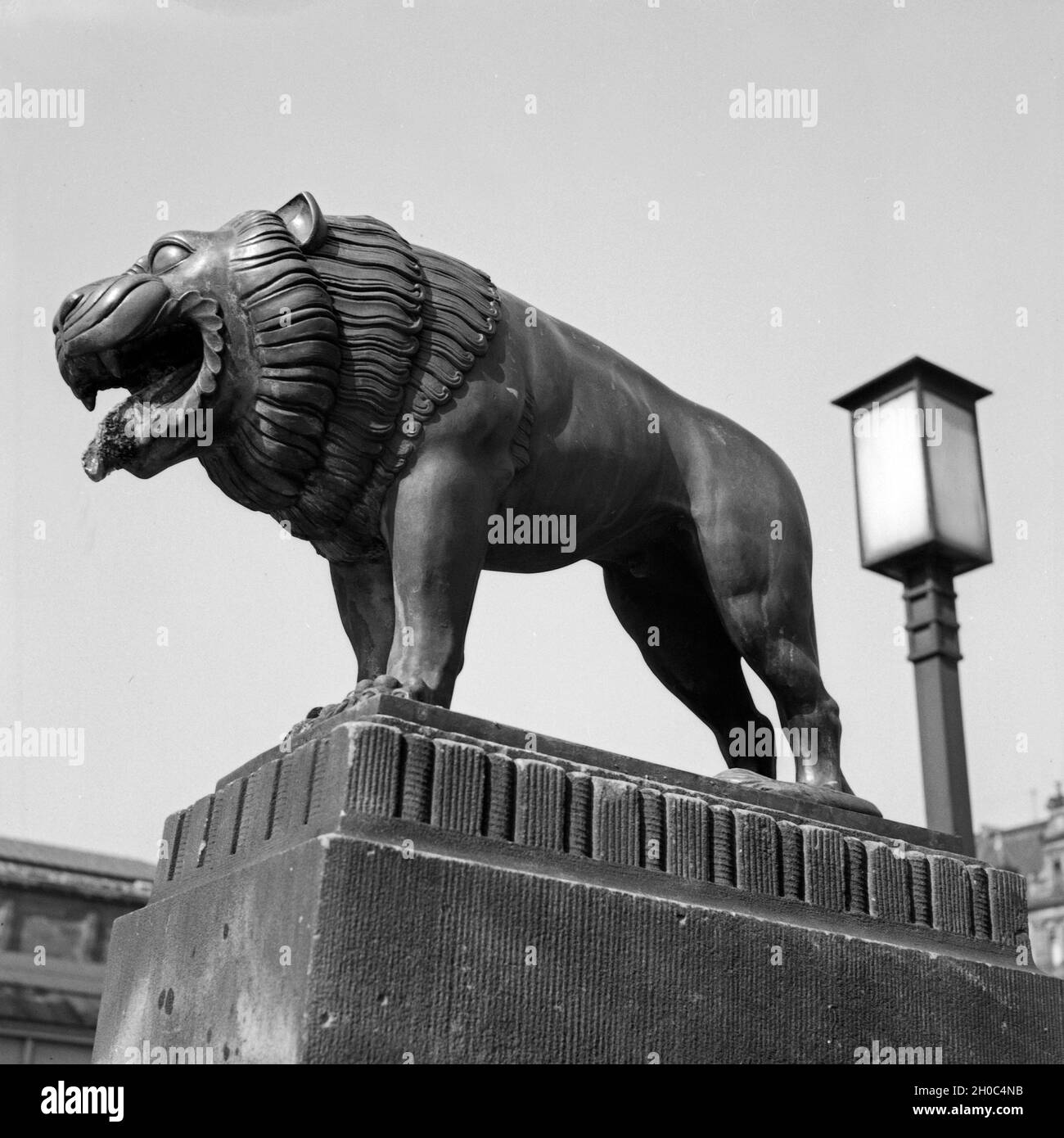 Löwenskulptur vor dem Museum in Ludwigshafen, Deutschland, 1930er Jahre. Lion Skulptur vor dem Museum Ludwigshafen, Deutschland 1930. Stockfoto