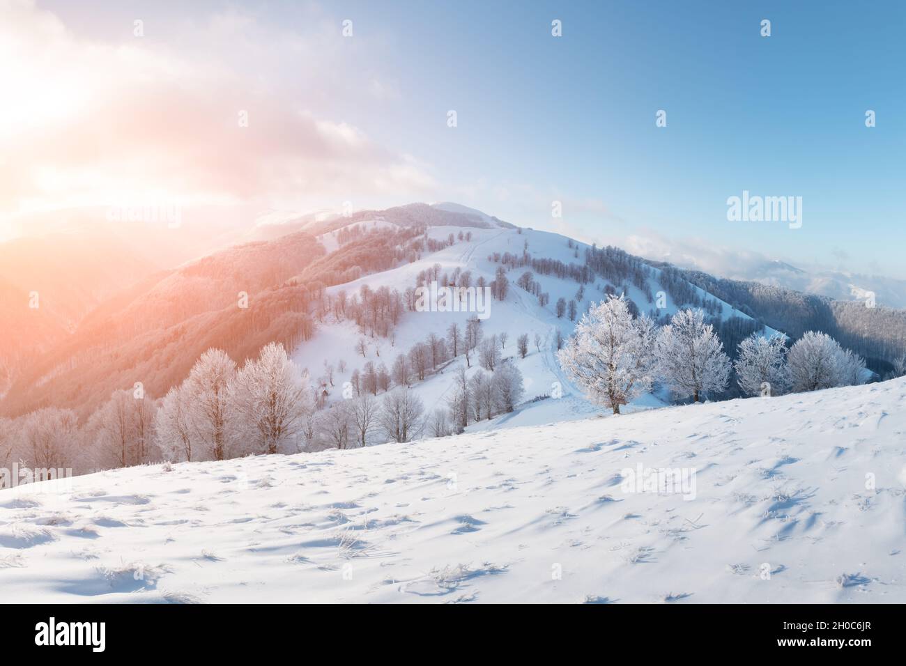 Erstaunliche Winterlandschaft mit verschneiten Bäumen auf einem Bergtal. Rosafarbener Sonnenaufgangshimmel leuchtet auf dem Hintergrund. Landschaftsfotografie Stockfoto