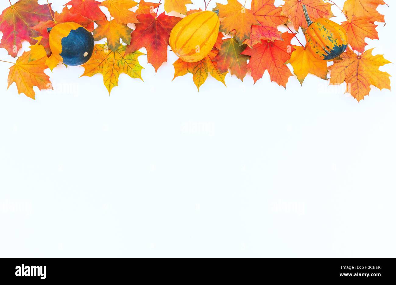 Herbstdekor aus Kürbissen und Blättern auf weißem Hintergrund. Flach Lay Herbst Komposition mit Kopierraum. Stockfoto