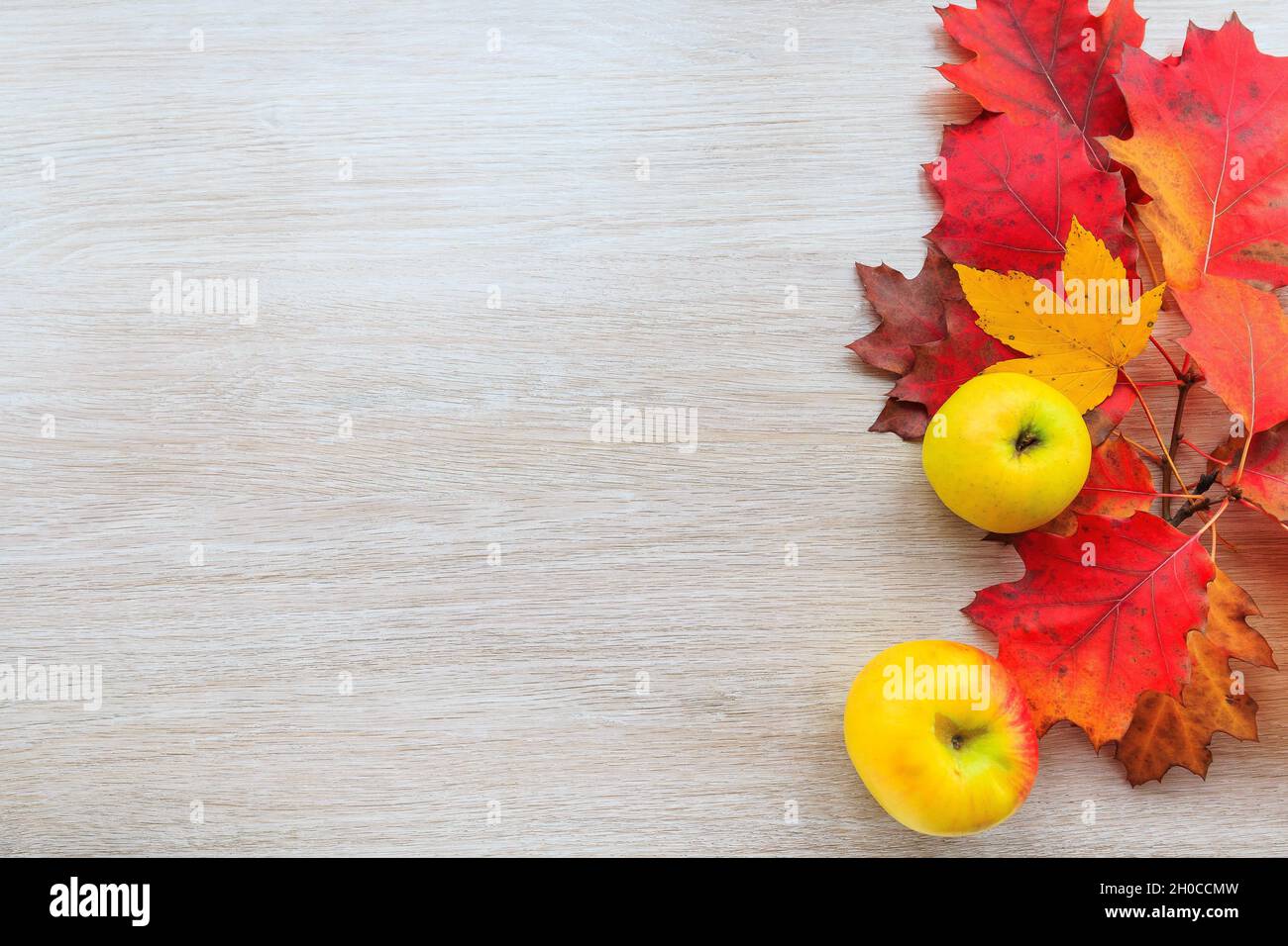 Herbstdekor aus Blättern und gelbem Apfel auf Holzgrund. Flach Lay Herbst Komposition mit Kopierraum. Stockfoto
