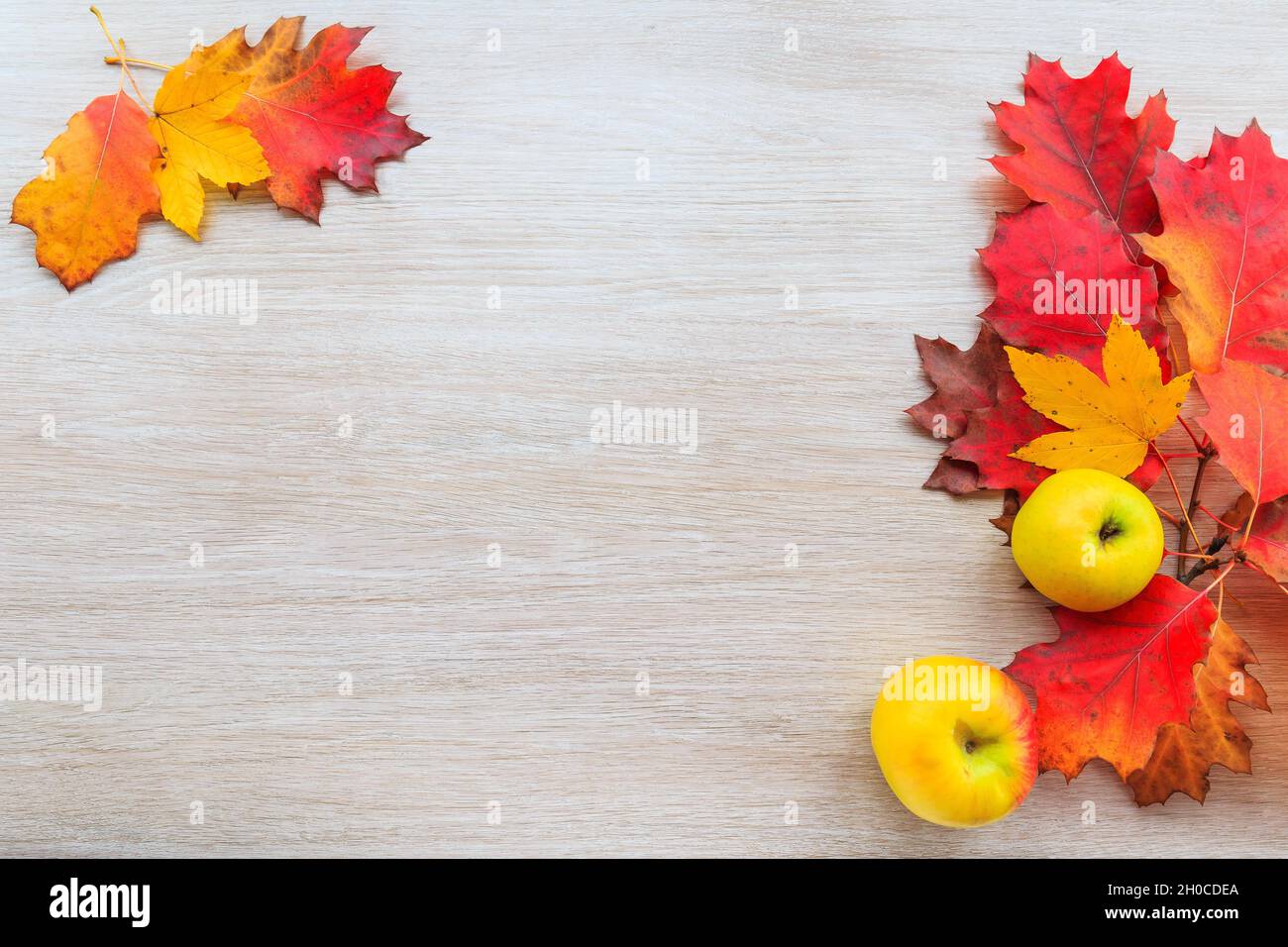 Herbstdekor aus Blättern und gelbem Apfel auf Holzgrund. Flach Lay Herbst Komposition mit Kopierraum. Stockfoto