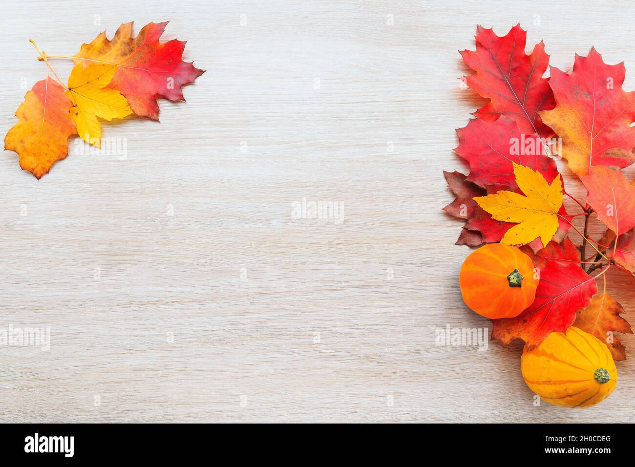 Herbstdekor aus Kürbissen und Blättern auf Holzhintergrund. Flach Lay Herbst Komposition mit Kopierraum. Stockfoto